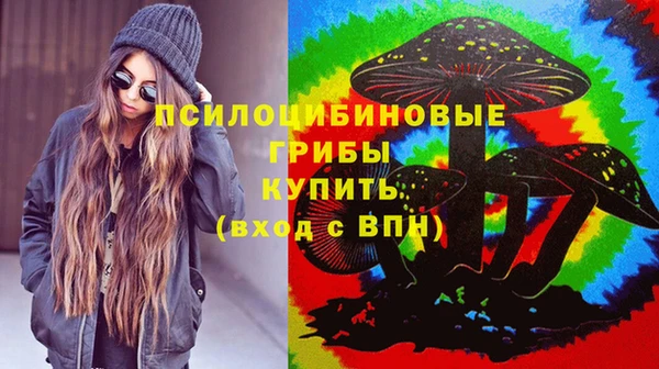 спиды Аркадак