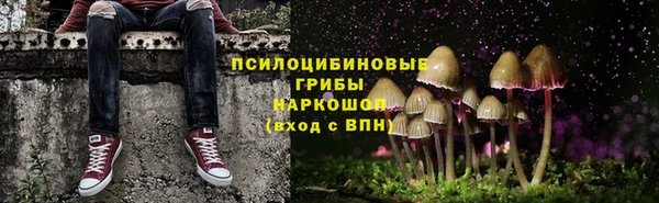 спиды Аркадак